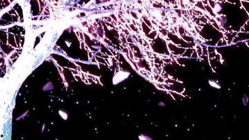 叶子飘落的视频,捕捉秋日美景的瞬间