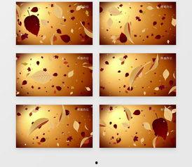 叶子飘落的视频,捕捉秋日美景的瞬间