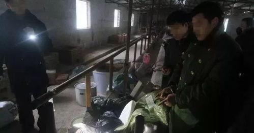 制毒视频,揭开毒品制造背后的黑暗面