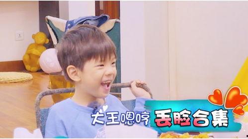 嗯哼大王视频合集,萌娃成长记