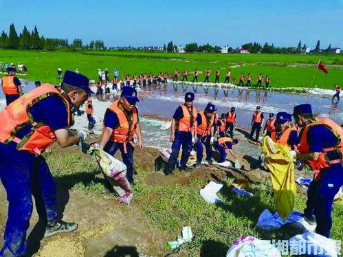 流土视频,揭秘自然奇观与生态奥秘
