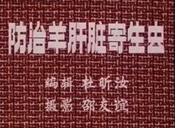 病毒科教视频,科教视频中的病毒奥秘解析