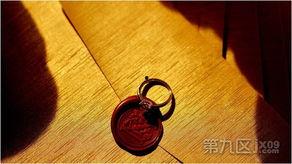 难忘的视频,那些难以忘怀的视频瞬间