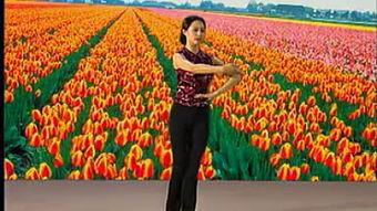 学习维语视频,轻松掌握维吾尔语基础