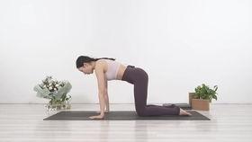 初级瑜伽教学视频1,轻松入门，开启身心和谐之旅